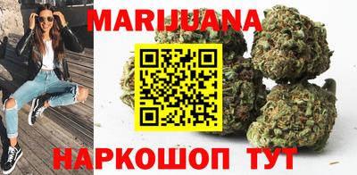 сатива Гудермес