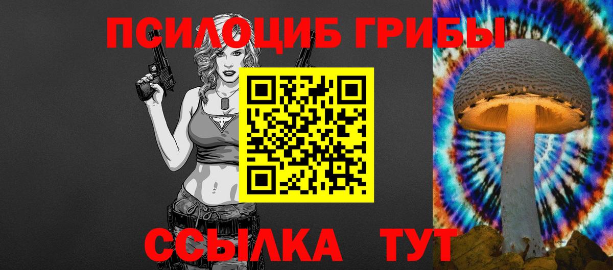 Псилоцибиновые грибы прущие грибы  Вход с VPN  Тихвин  Псилоцибиновые грибы Psilocybe 
